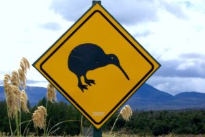 Panneau Kiwi à détourer avec le lasso magnétique photoshop