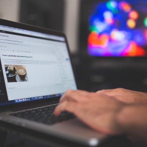 formation wordpress