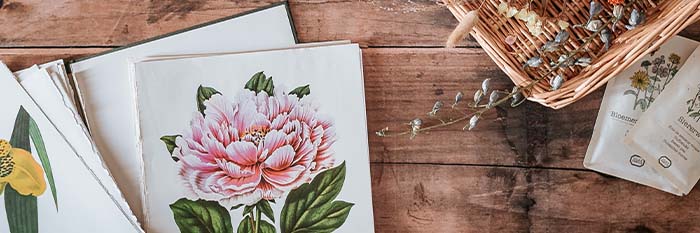 Apprenez bases Fleuriste