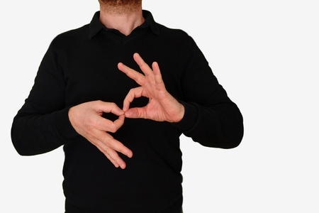 gestuelle de la langue des signes