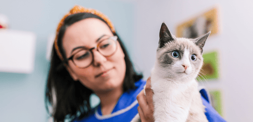 Formations métiers animaliers