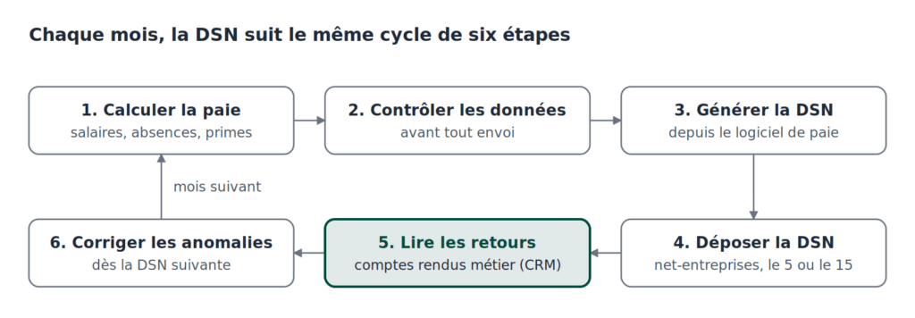 Cycle DSN